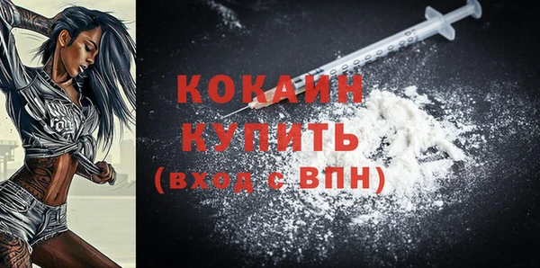 шишки Лысково