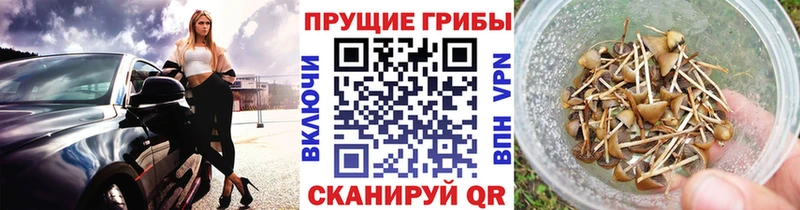 Псилоцибиновые грибы MAGIC MUSHROOMS  дарнет шоп  Конаково 