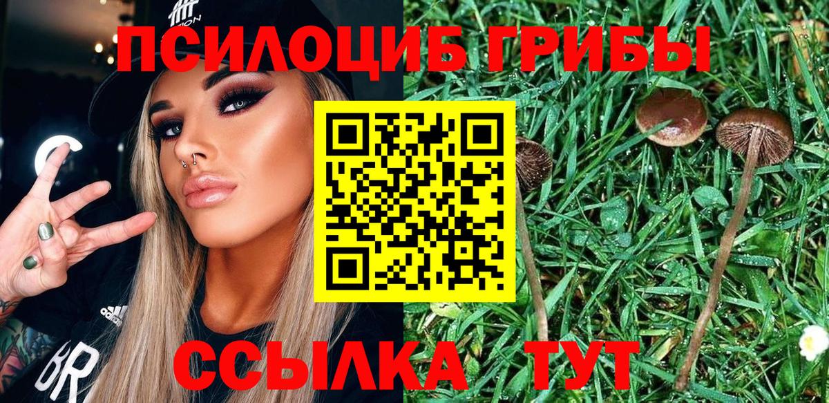 Галлюциногенные грибы GOLDEN TEACHER  Вход с VPN  Конаково 