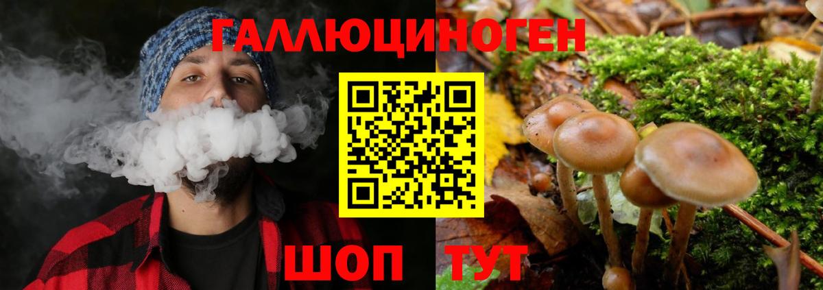 Галлюциногенные грибы GOLDEN TEACHER Конаково